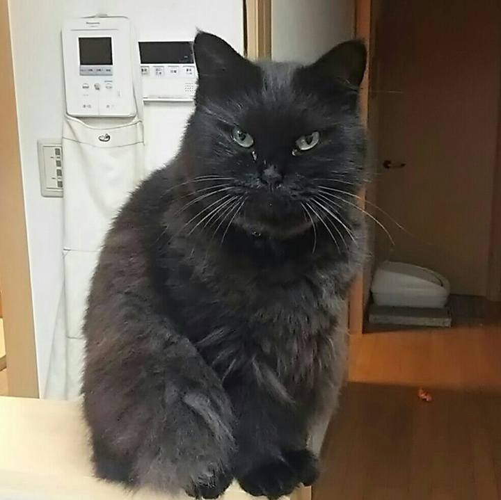 A58d5953 629c 4724 aa93 e2df9b4fcfdb