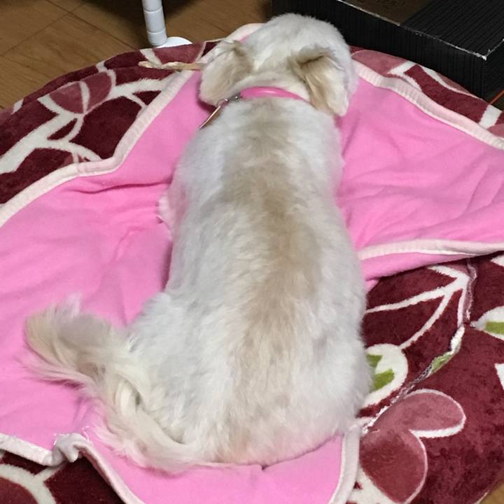 A58df82a 9e18 41ea 9bf8 0080d74b2579