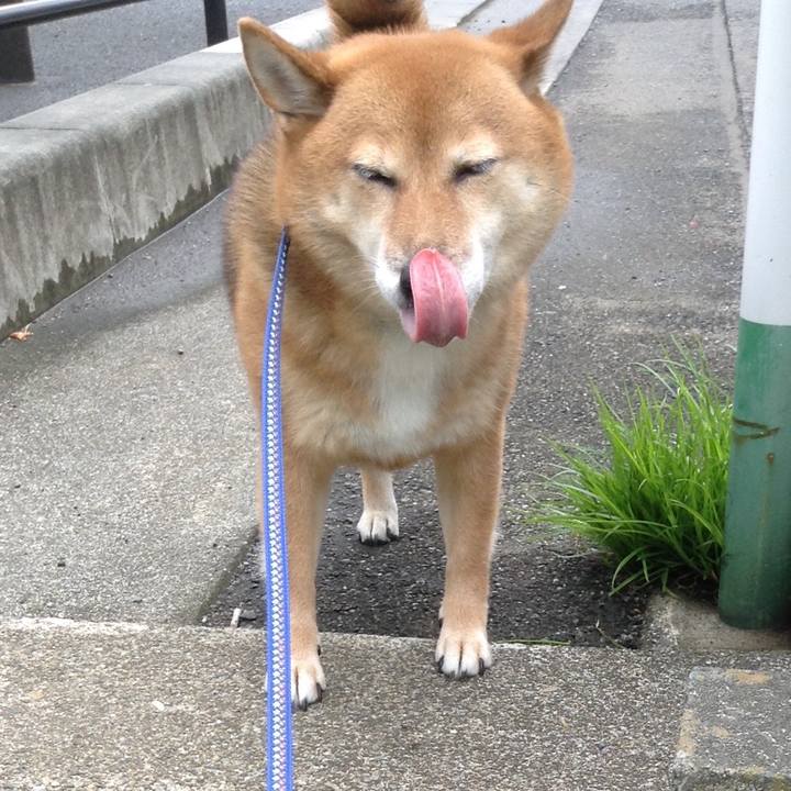 A58e2267 c715 4401 a919 66d70dad71b1