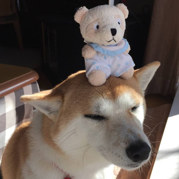 A58e5344 29fa 428c 9062 4bfd848a66a8