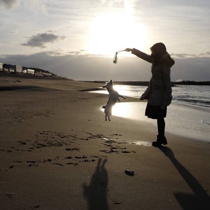 A58eca0f 6ee9 4929 99bd 7f273e2fdac6