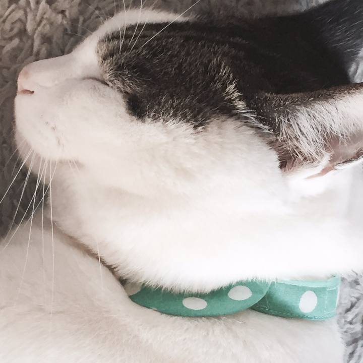 A58f6fc1 27c9 47be a4fc f84174e3b79f