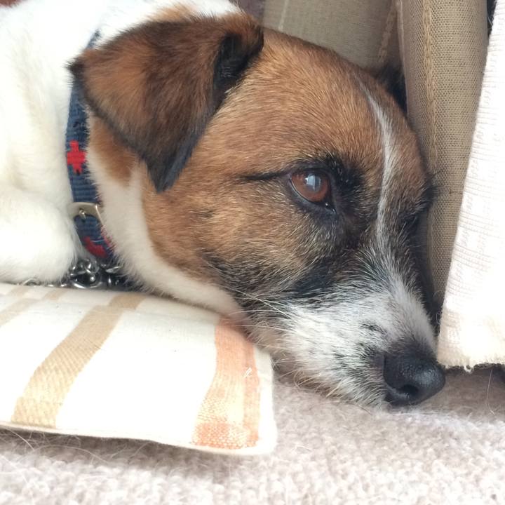 A58f9fe3 07e1 4f39 b1d3 e1669fd029e4