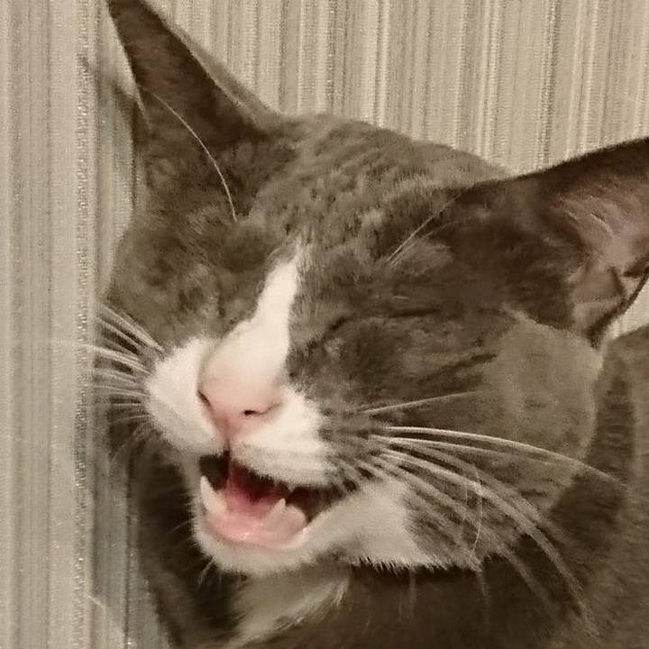 A58fc66a 89cc 4011 9db0 c5bc0da2be22