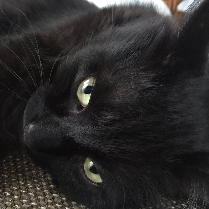 A59055dd c306 4c8b 9ffc a802a0b63604