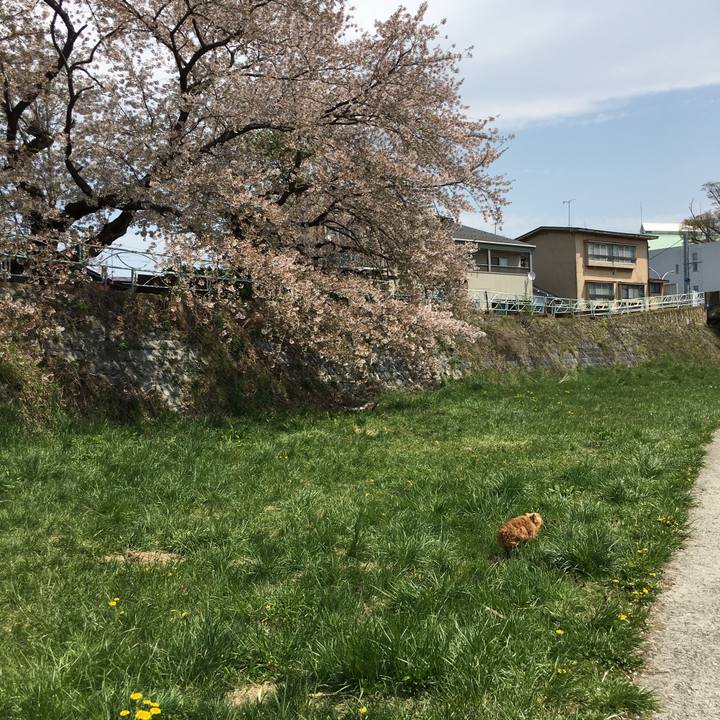 A59071d6 ce86 49a4 b088 042154902560