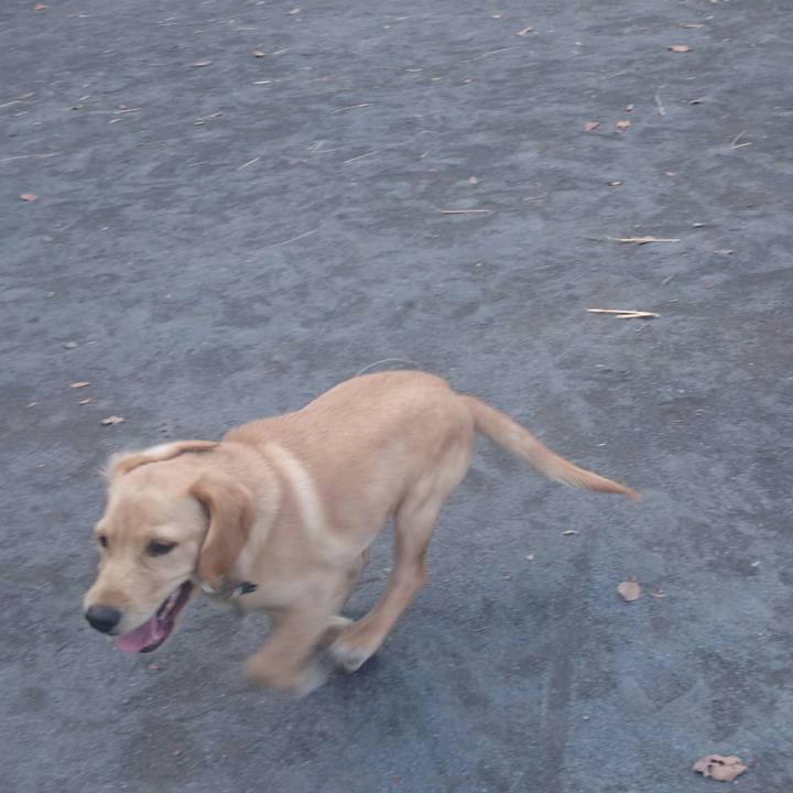 A590ab57 47ea 4d86 8ced feb5336e3b73