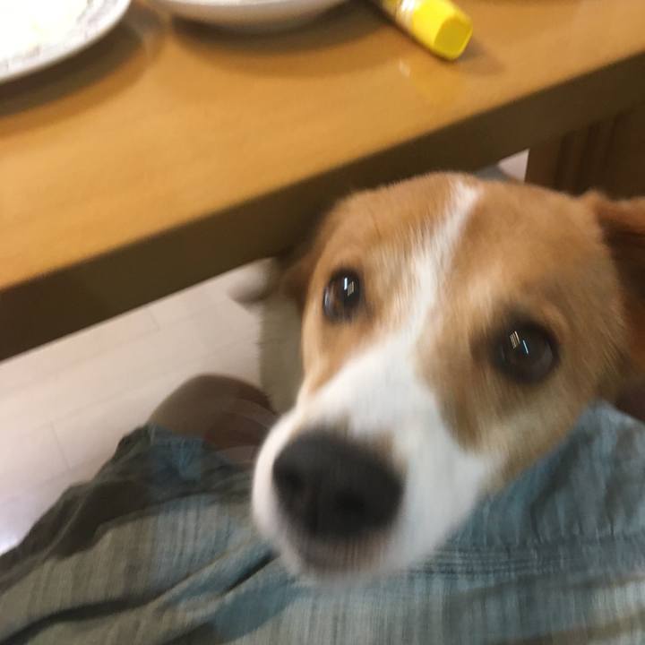 A590e7a1 bbd1 4317 b54b efb99e9ff62b