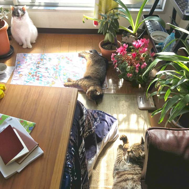 A59204f5 d6e9 41a5 8f7b 2fa8c2073389