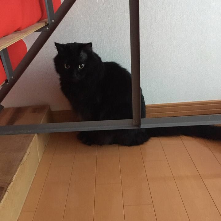 A593498a b860 4598 a55b 9e492a71d761