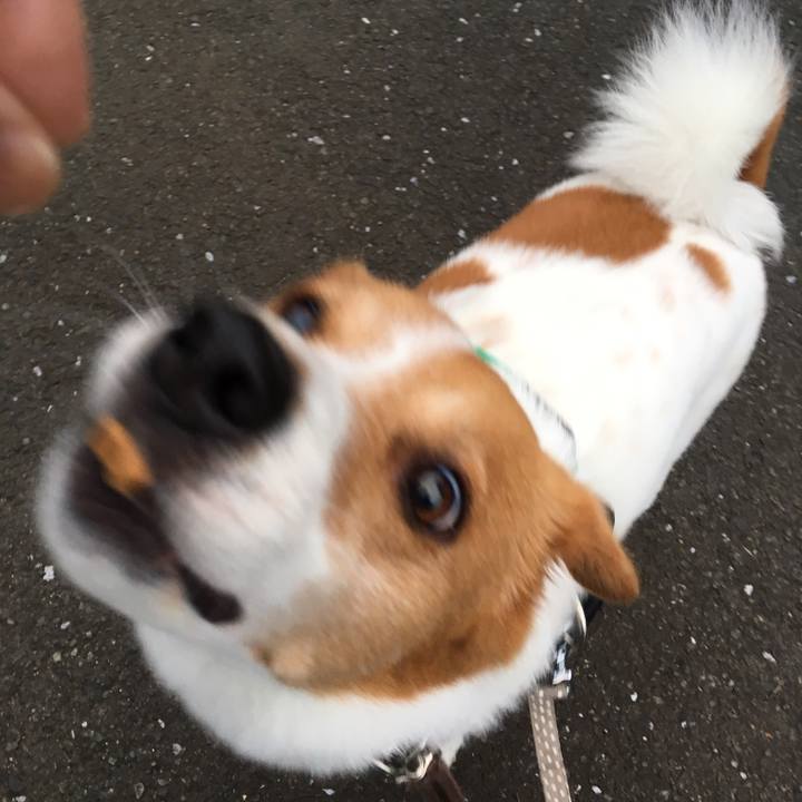 A59410cb 723b 47c5 9fca f19e1884751f