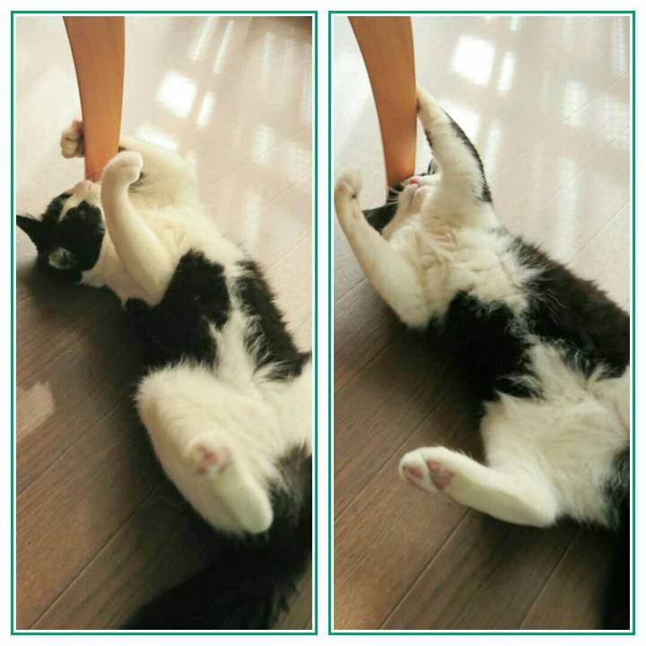 A5943295 6492 4c33 9af4 691bb664aebd