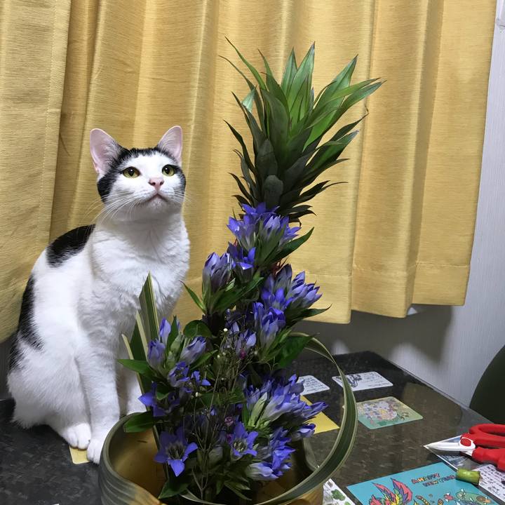 A5946ada 5344 4cfe 996a dbd14953b661