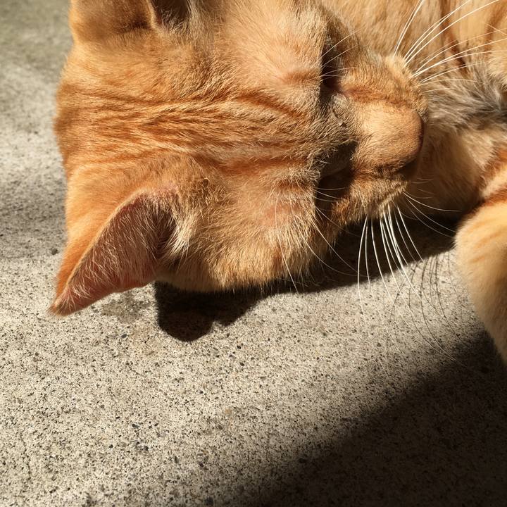 A5946ed8 7e81 437d b7c1 d87071c75573