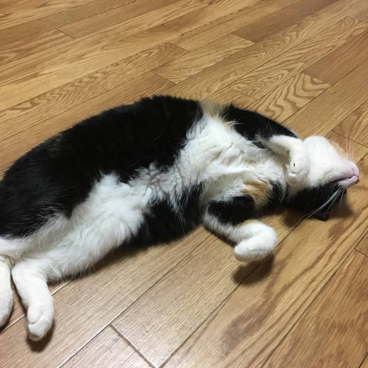 A5959388 2097 4619 a451 78a82c20577f