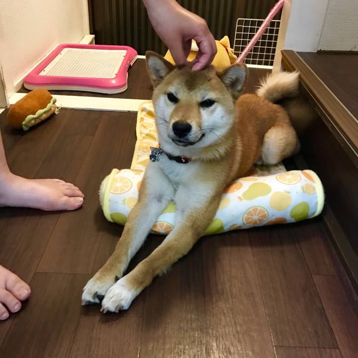 A595e2ae 219d 4805 9e04 ef4fa1fbd134