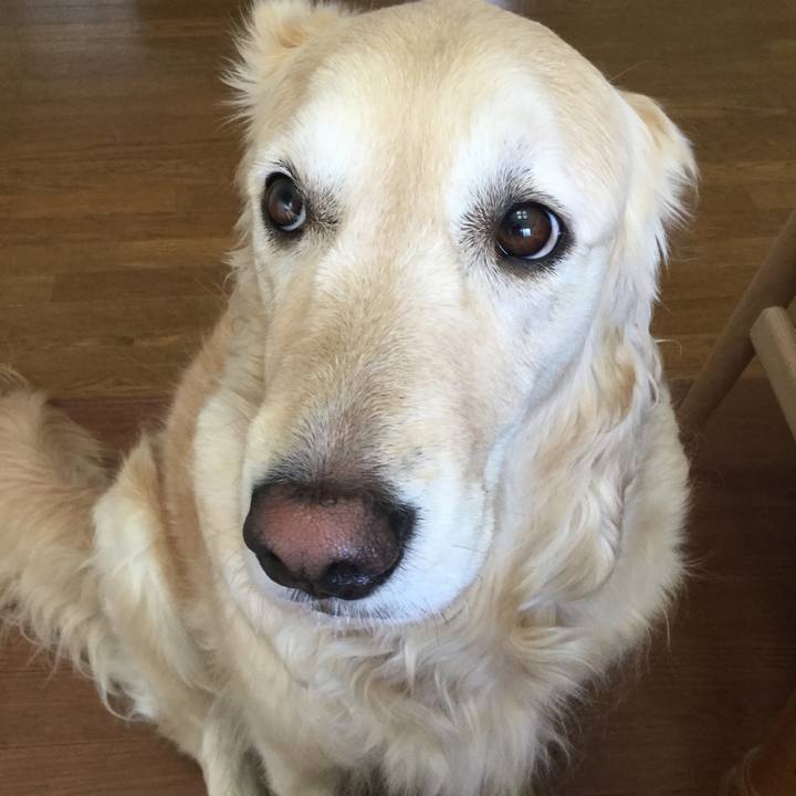 A595eb94 50f8 424d 84a8 318d3ddf7ebc