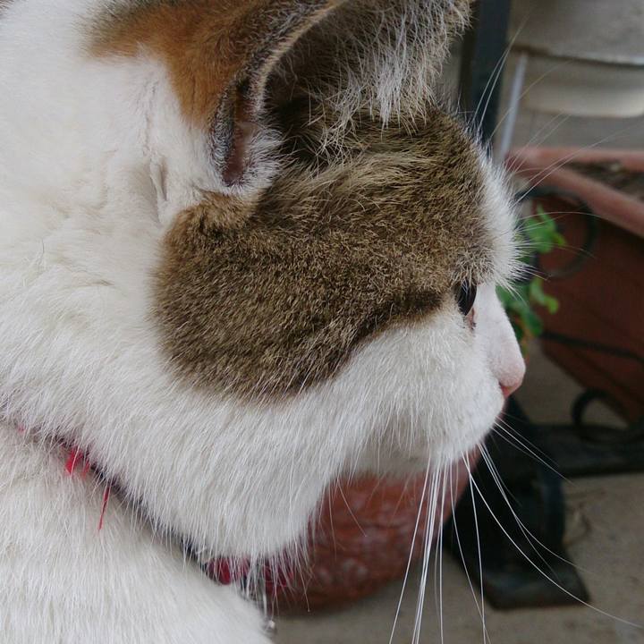 A5960682 7f15 47ba 84f4 2a366145835d