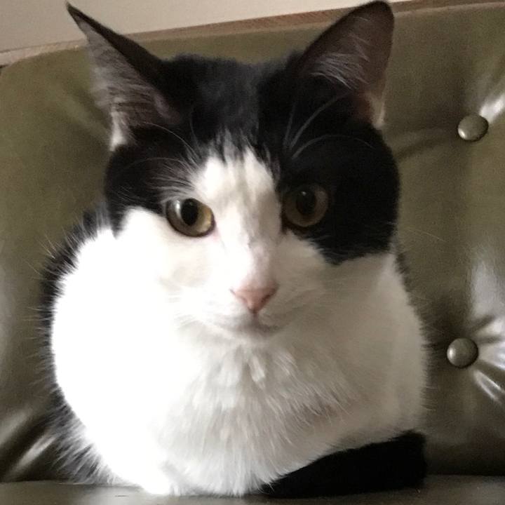 A5961db2 fb95 491d 9197 8ae56dabcb27