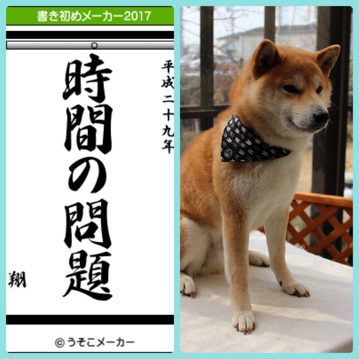 A59678cf f558 4b87 aa91 57d68208e903