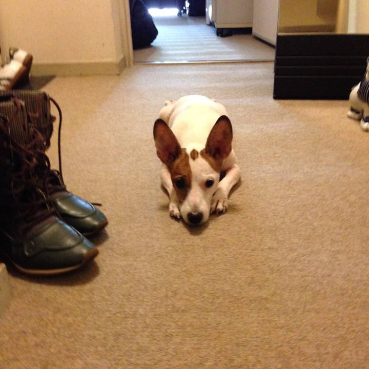 A59735b7 16c4 4268 8635 c73d603d6e08