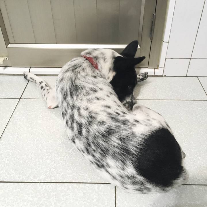 A5979dfa 0e07 4347 8647 d3205255b433