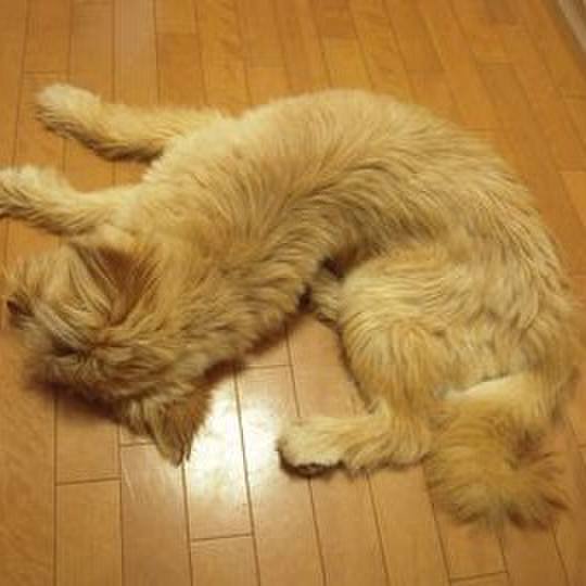 A597fd6c ce96 497e b811 33fc1a007fba