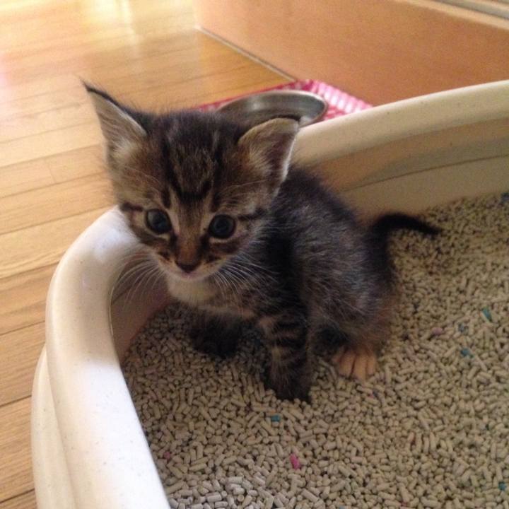 A5980e4a d3c9 4cb7 bc3f ada7bf9e6a07