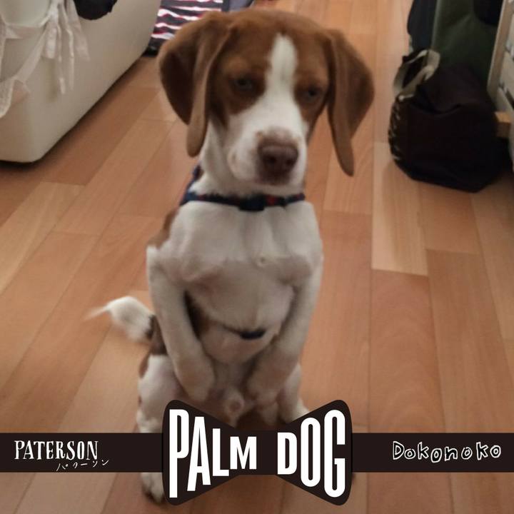 A59817e6 6111 4fb5 93ca 9c1eba00750e