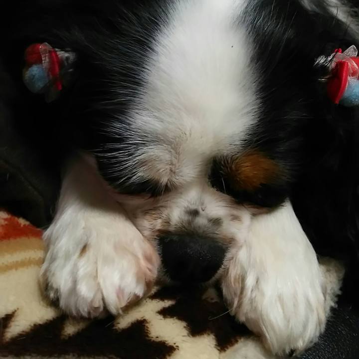 A5985ada c3c4 4371 a7bf 43051072368b