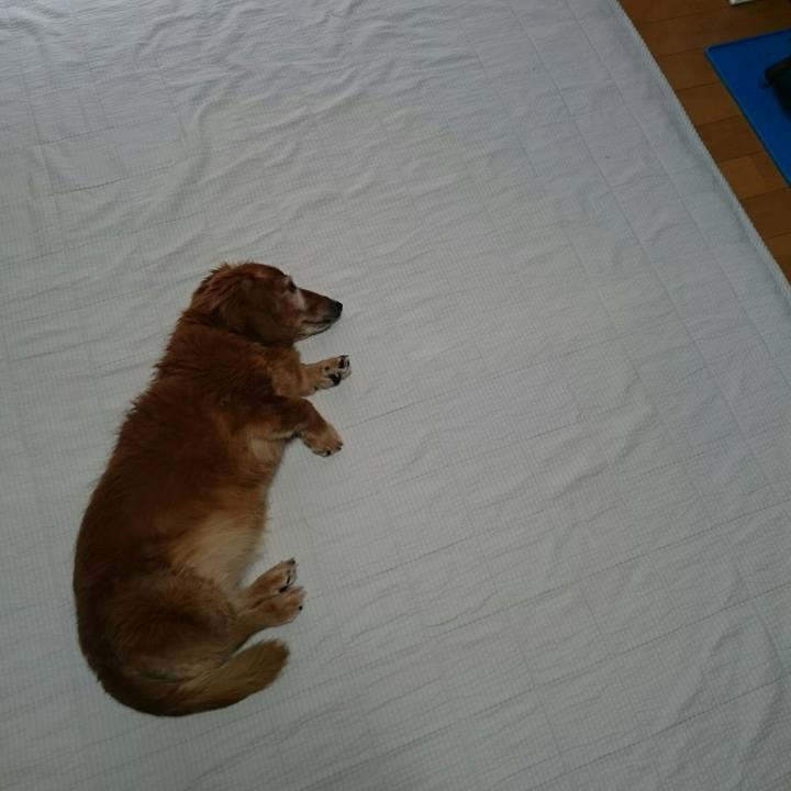 A5987ea7 a9ad 40b0 9a71 e4d8743eda0a