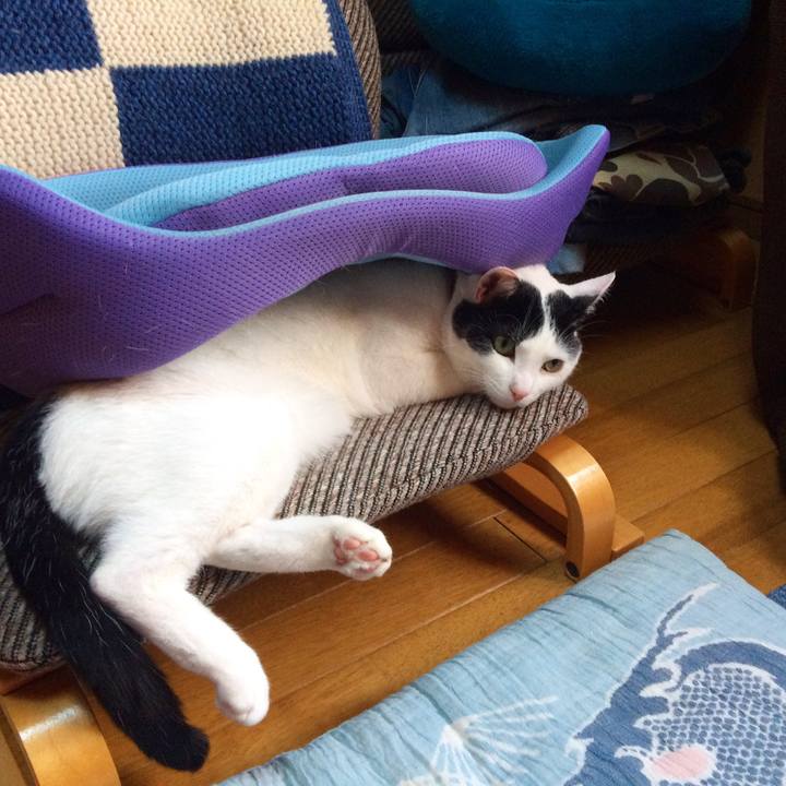 A5988755 5441 4f05 8d94 3eae602185ad