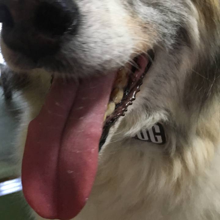 A59a31e0 87a7 4e19 aec2 83564797dd66