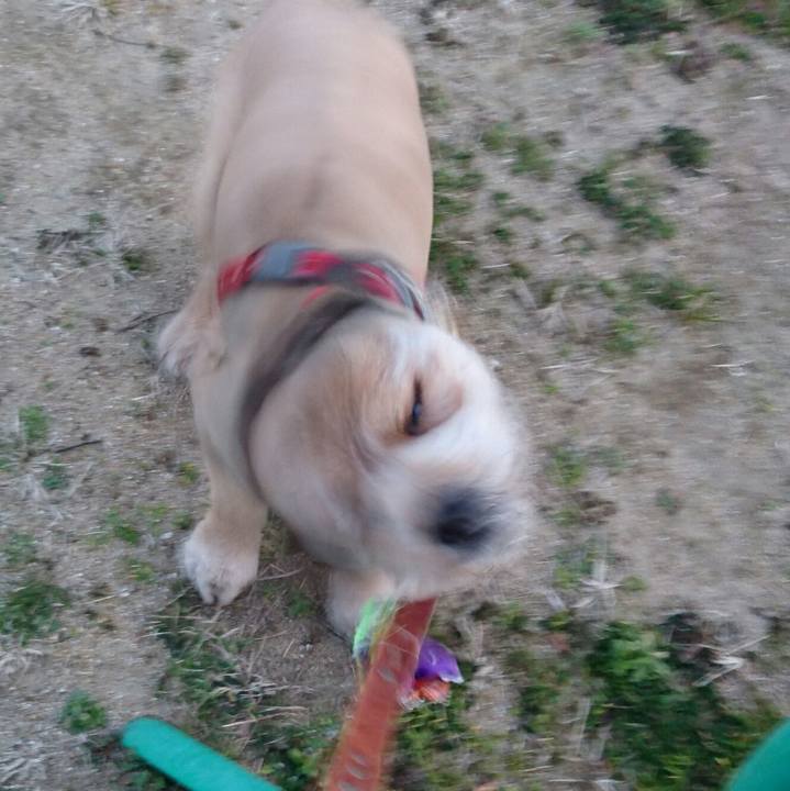 A59a3ccd d5f9 4653 a961 987039df1594