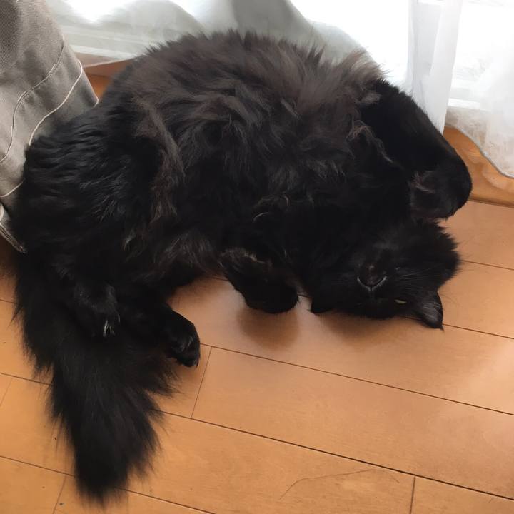 A59a4344 f174 44ee 8b00 60b338cbfdc6