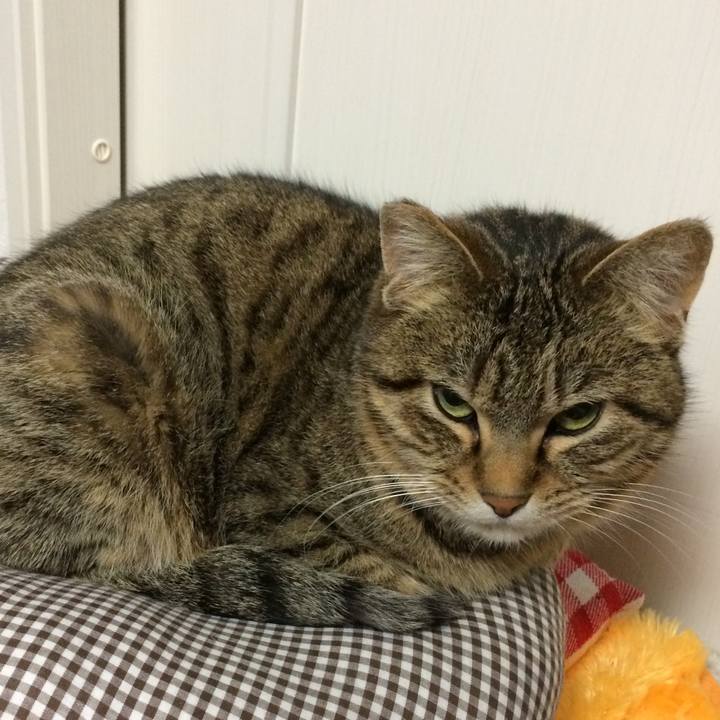 A59b7e05 c22e 4759 a7b5 30d219aabcae