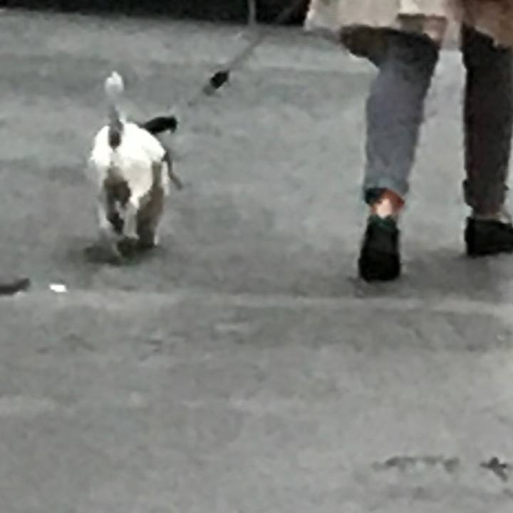 A59c4848 a98a 44c0 a814 971f6d156fee