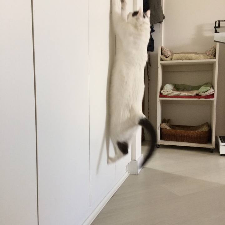 A59c4d5b 3667 4e12 9b23 1042a080de79