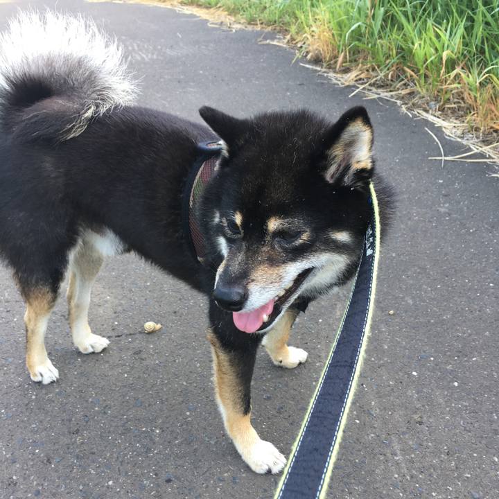 A59d18c0 c0d2 4a0f 9968 77bd06d5d001