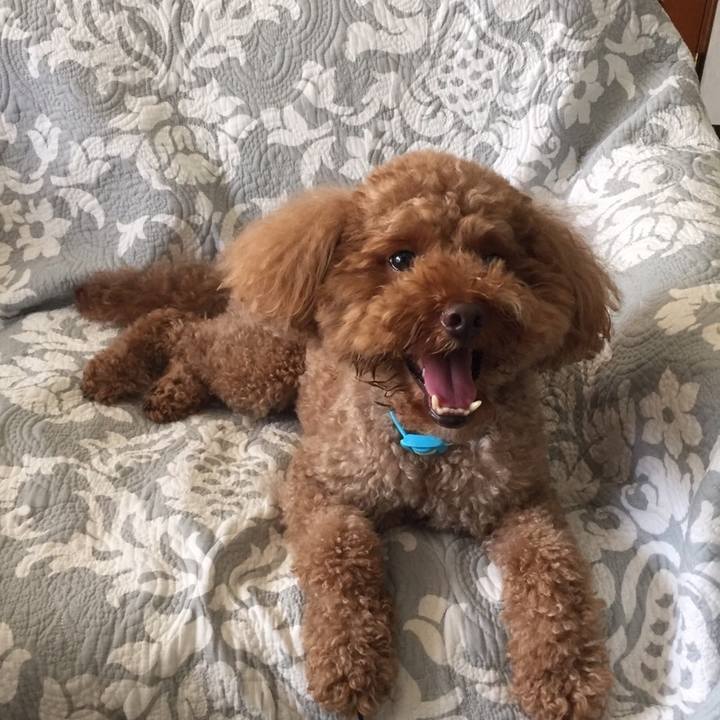 A59d5b8d 14c6 4cb9 88ed af4510b10884