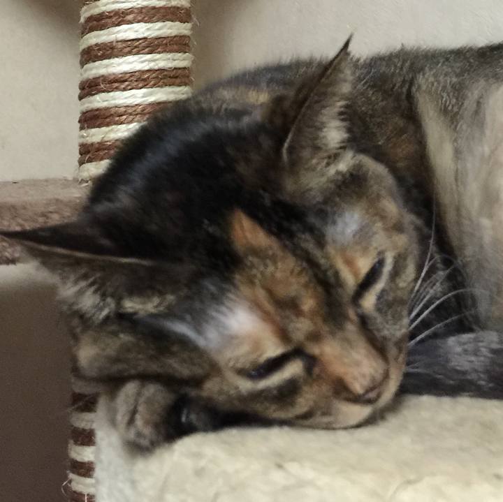 A59dee49 2c65 4029 a8e2 0e1cefee0cd9