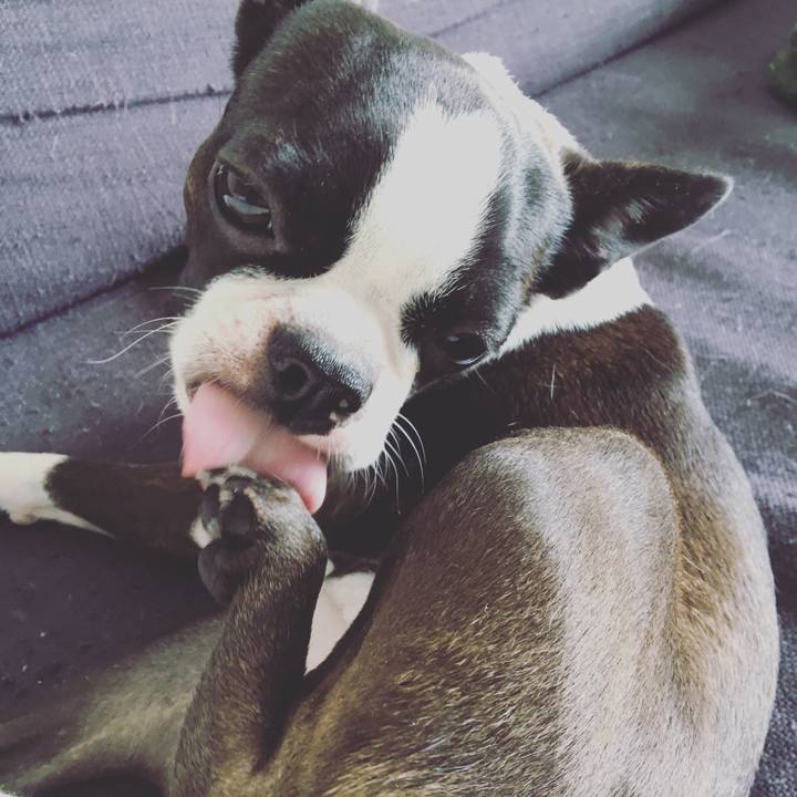 A59e3a0f cb08 4b31 b5da 59e0cc7a5728