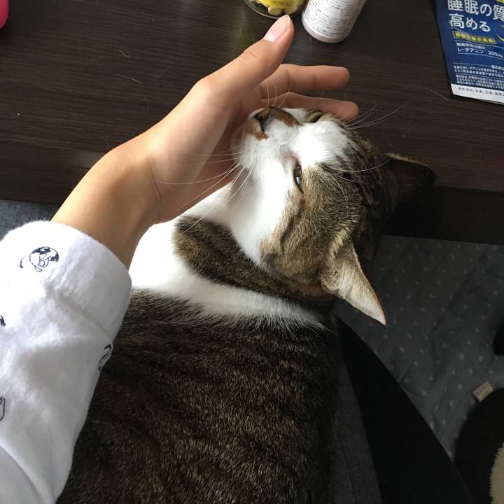 A59e3e68 b2a9 4e40 bec7 a3d8a424343b