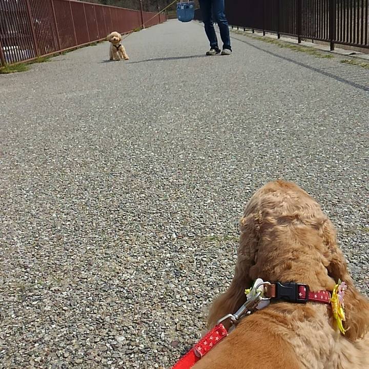 A59fe358 fa05 4f4e ad6f c418da0820ce