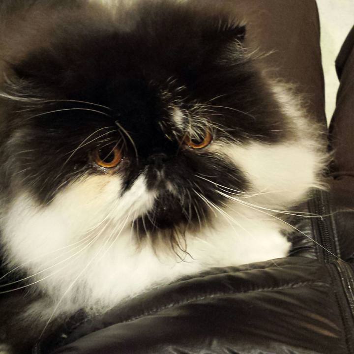 A5a02cd4 61e9 44b7 a928 cac97d71dcb1