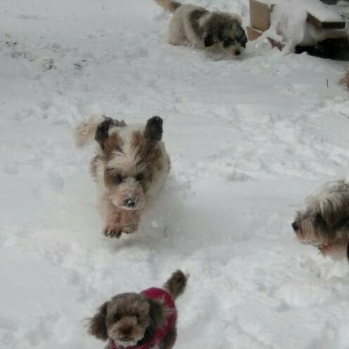 A5a065bb cdf5 486a 855a 55aa20a2e8ed