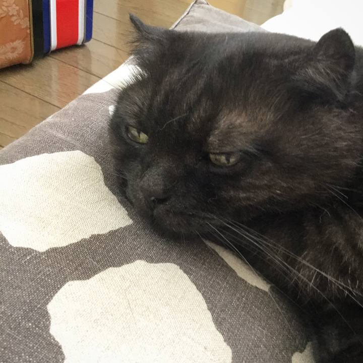 A5a0b7f8 9092 4b15 8663 832787856da0