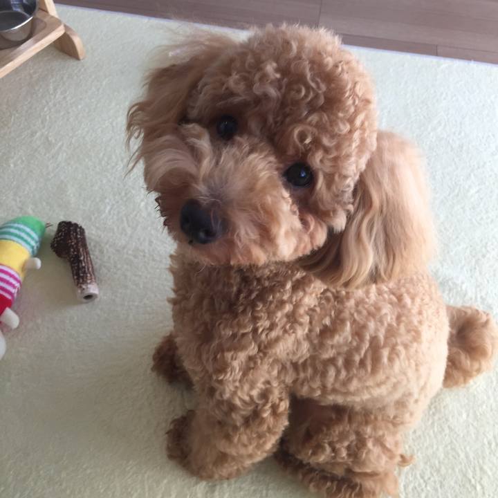 A5a17cab f4df 4ae0 adf5 4d8c71687656