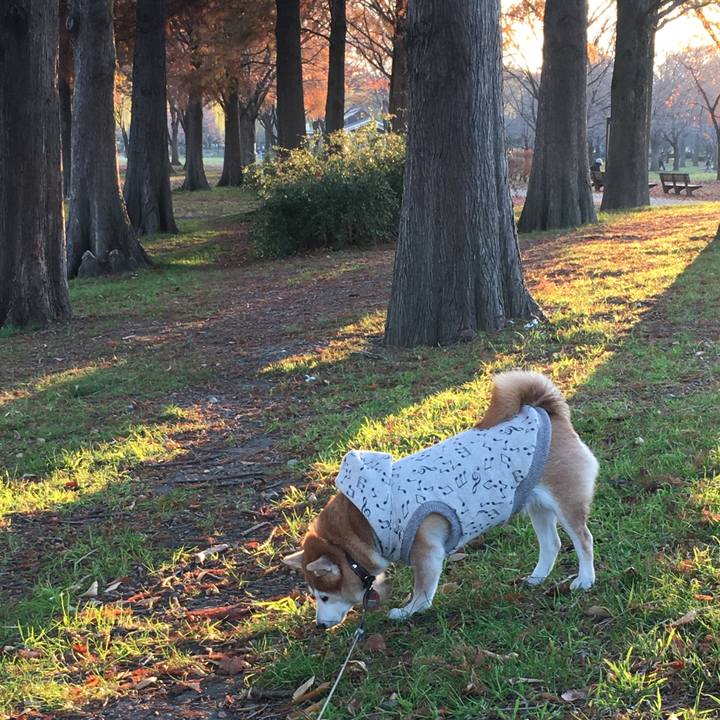 A5a1cd80 ce9c 4ae7 9742 093dca1218a1