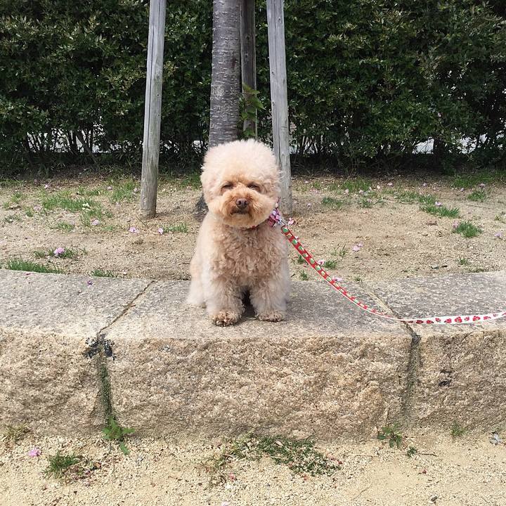 A5a1e7ad 8fa5 4a88 9d73 89e597bdaf67